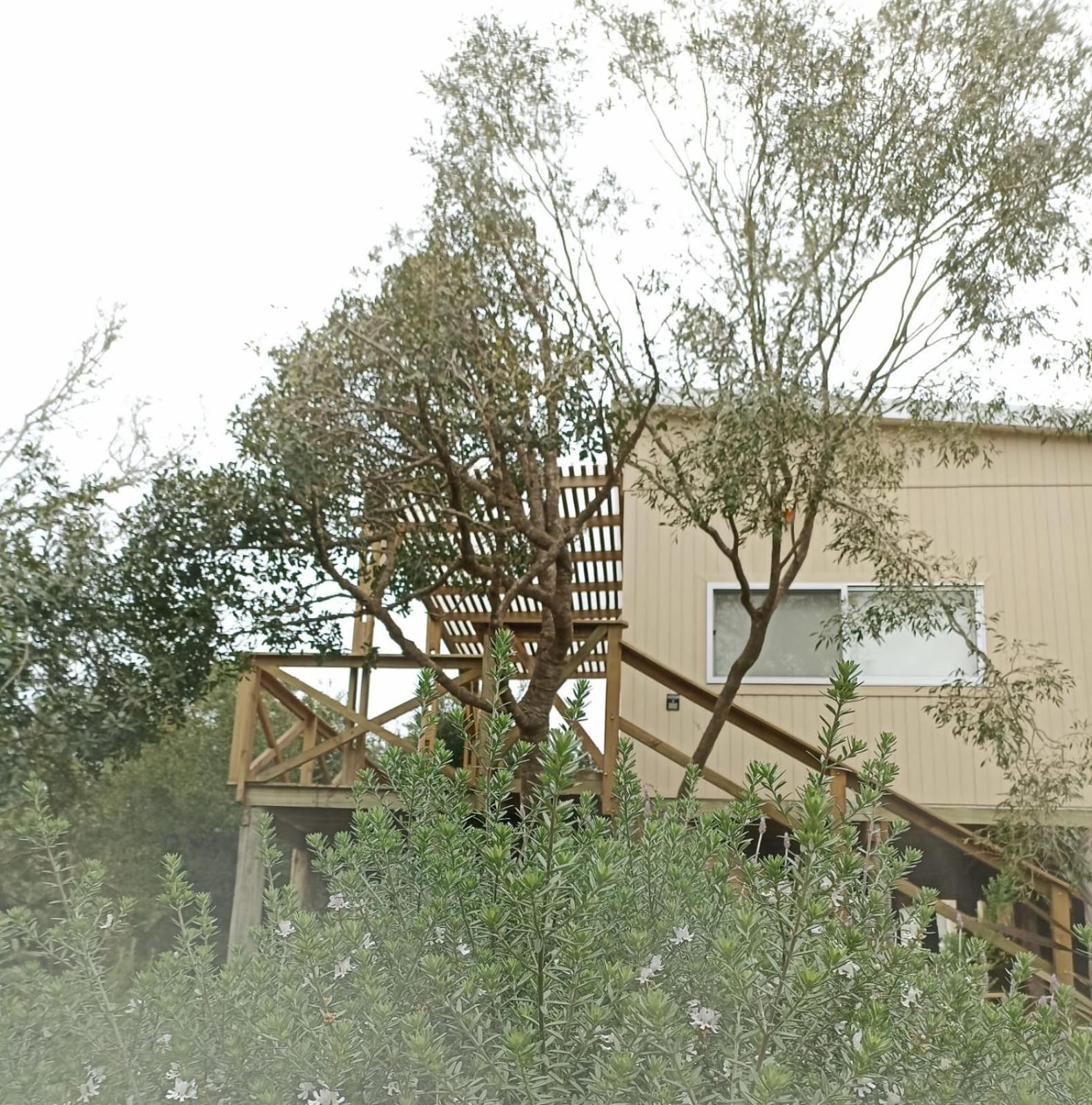 Villa Nio De Baixo La Pedrera Esterno foto