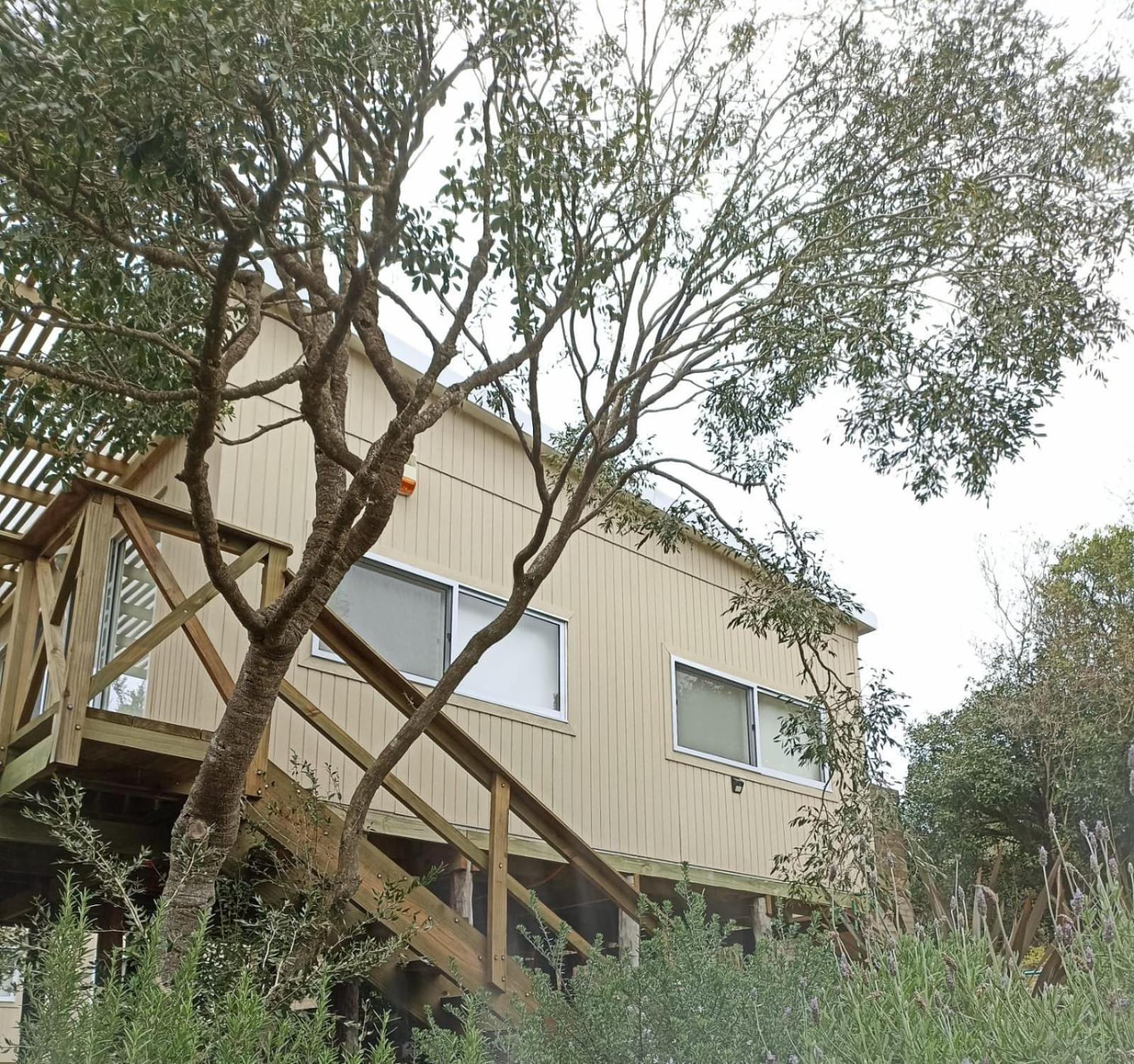 Villa Nio De Baixo La Pedrera Esterno foto