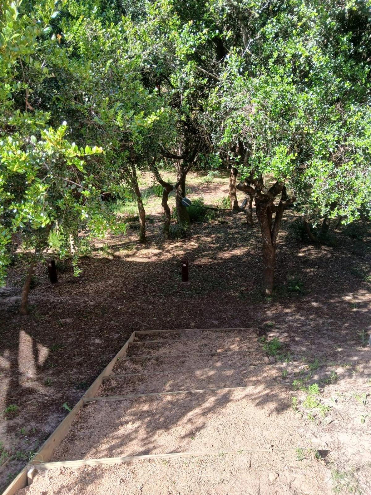 Villa Nio De Baixo La Pedrera Esterno foto